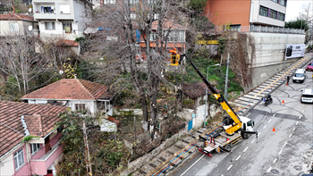 DJI_20241209152814_0006_D.JPG